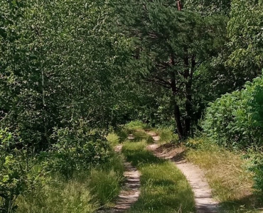 Relacja z rajdu po Kozłowieckim Parku Krajobrazowym