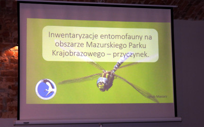 Inwentaryzacja entomofauny w Mazurskim PK