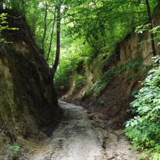 Zapraszamy na ścieżką przyrodniczo-historyczną „Szczebrzeszyn – Kawęczynek”.