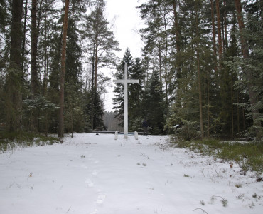 Ostatnia  walka w Lasach Janowskich