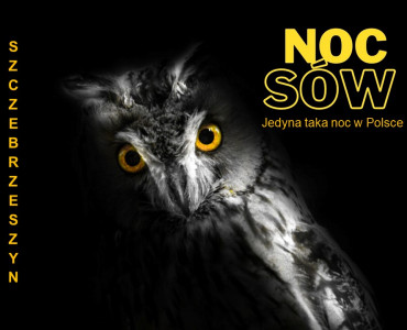 I Noc Sów w Szczebrzeszynie