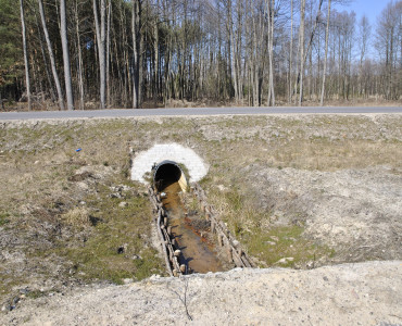 Ułatwienie dla ludzi, problemy dla zwierząt