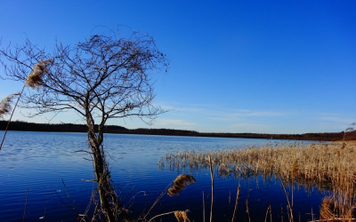 Jezioro Brudno (Sobiborski PK)