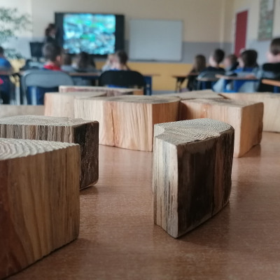 Podsumowanie zajęć edukacyjnych w roku szkolnym 2021/2022 w ZLPK Ośrodek Zamiejscowy w Zamościu.