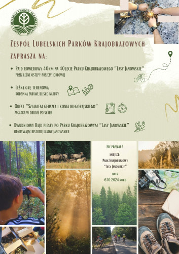 PLAKAT JPG.jpg