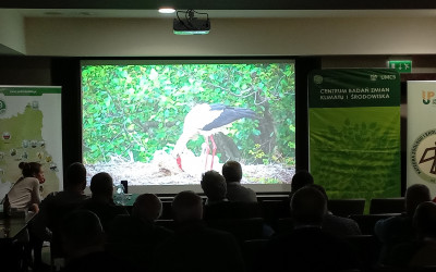 Film o bocianie białym, fot. K. Wojciechowski