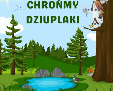 CHROŃMY DZIUPLAKI – krótkie podsumowanie roku 2024