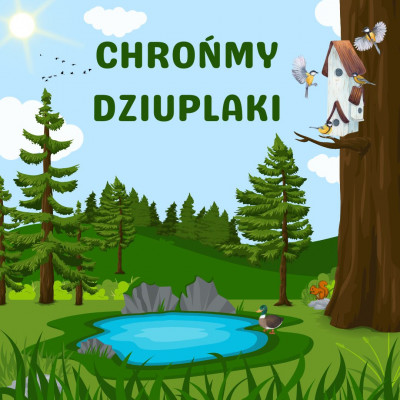 CHROŃMY DZIUPLAKI – krótkie podsumowanie roku 2024