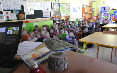 edukujemy o dziuplakach, Oddział w Zamościu (7)