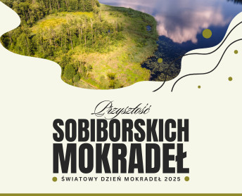 "Przyszłość sobiborskich mokradeł" - obchody Światowego Dnia Mokradeł 2025