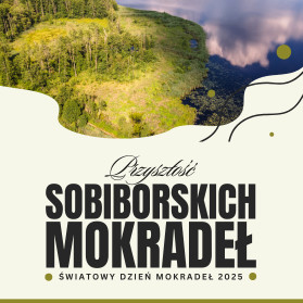 "Przyszłość sobiborskich mokradeł" - obchody Światowego Dnia Mokradeł 2025