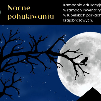 NOCNE POHUKIWANIA 2025