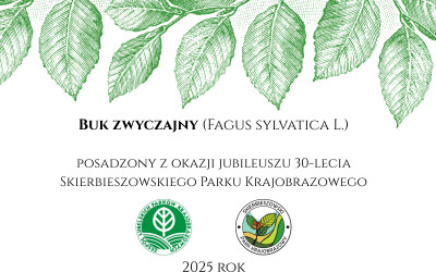 Obraz z galerii