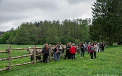 Ostoja konia biłgorajskiego