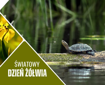 Światowy Dzień Żółwia z Lubelskimi Parkami Krajobrazowymi