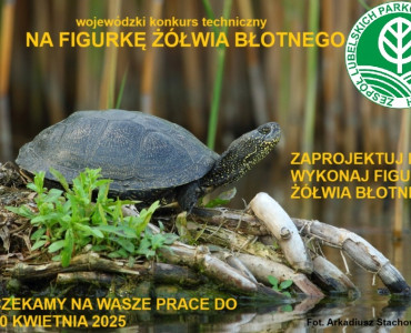 WYNIKI WOJEWÓDZKIEGO KONKRSU TECHNICZNEGO NA WYKONANIE FIGURKI ŻÓŁWIA BŁOTNEGO