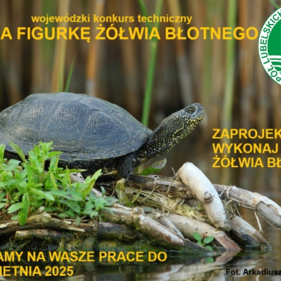 WYNIKI WOJEWÓDZKIEGO KONKRSU TECHNICZNEGO NA WYKONANIE FIGURKI ŻÓŁWIA BŁOTNEGO