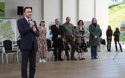 Obraz z galerii