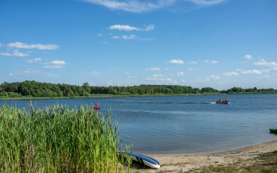 Obraz z galerii
