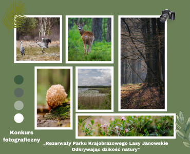 Konkurs fotograficzny " Rezerwaty Parku Krajobrazowego Lasy Janowskie - odkrywając dzikość natury"