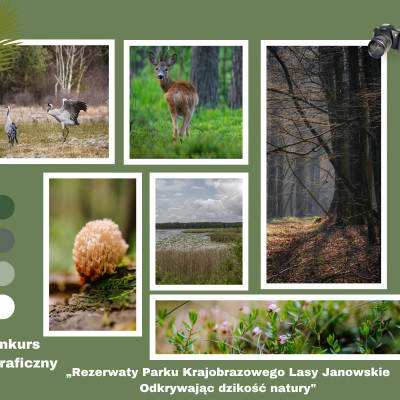 Konkurs fotograficzny " Rezerwaty Parku Krajobrazowego Lasy Janowskie - odkrywając dzikość natury"