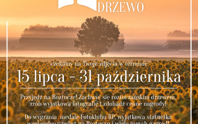 Obraz z galerii