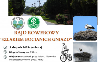 Obraz z galerii
