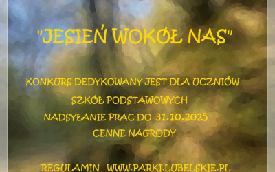 Obraz z galerii