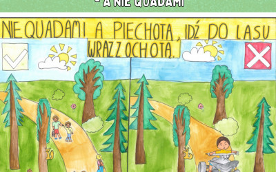 Obraz z galerii