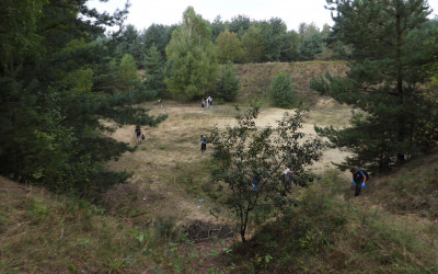 Obraz z galerii