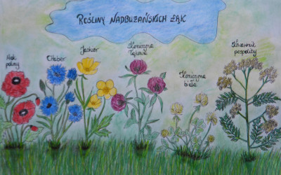 Wyróżnienie - Dagmara Kaczan_Sz.P w Zalesiu