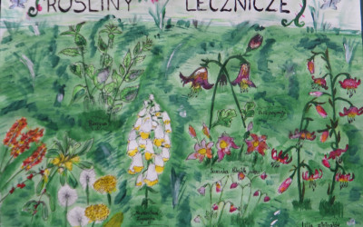 Wyróżnienie - Agnieszka Chwesiuk_Sz.P w kobylanach