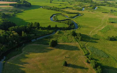 Obraz z galerii