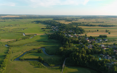 Obraz z galerii