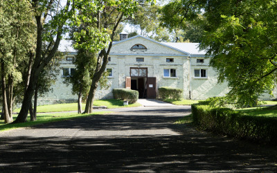 Obraz z galerii
