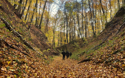 Uczestnicy wycieczki mogli podziwiać malownicze  wąwozy lessowe
