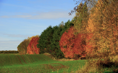 Piękne jesienne krajobrazy zachwyciły wszystkich uczestników wycieczki
