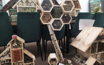 kategoria I miejsce 1