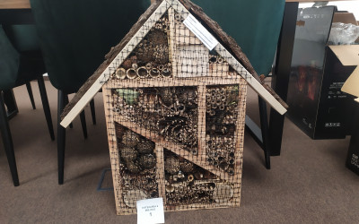 kategoria II miejsce 1