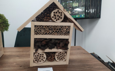 kategoria II miejsce 2