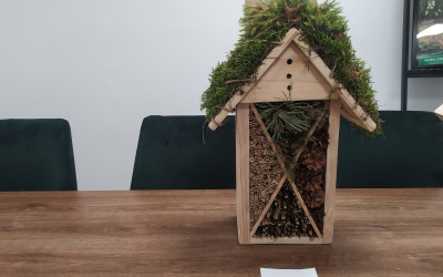 kategoria II miejsce 3