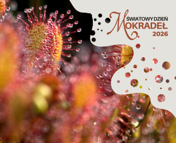 Światowy Dzień Mokradeł 2026