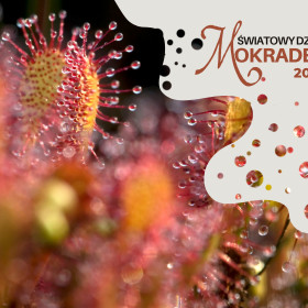 Światowy Dzień Mokradeł 2026