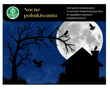 Nocne pohukiwania – odkryj świat sów w lubelskich parkach krajobrazowych