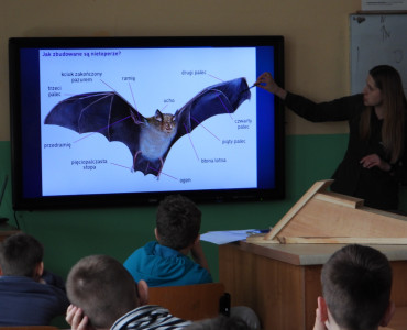 „Nadbużańska Przyroda - nietoperz nasz sąsiad”