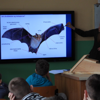 „Nadbużańska Przyroda - nietoperz nasz sąsiad”