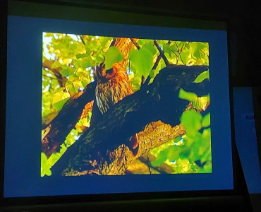 Nocne Pohukiwania w Konstantynowie