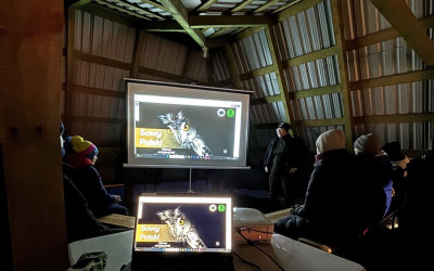 Nocne spotkanie w Szklarni – uczestnicy słuchają opowieści o sowach