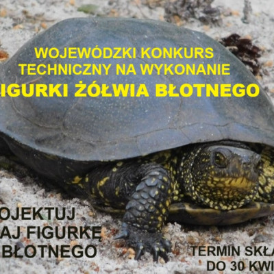 II edycja wojewódzkiego konkursu technicznego na figurkę żółwia błotnego