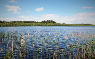 Jezioro Perespa, fot. Archiwum ZLPK w Chełmie
